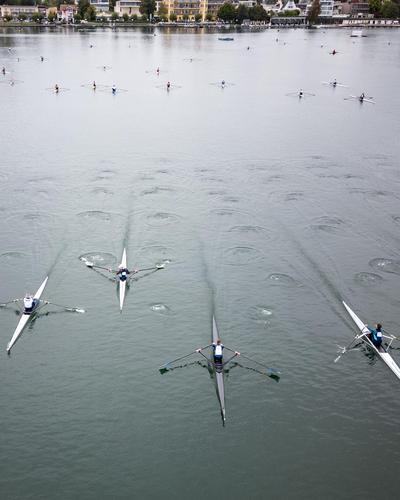 Ruderregatta um die „Rose vom Wörthersee".