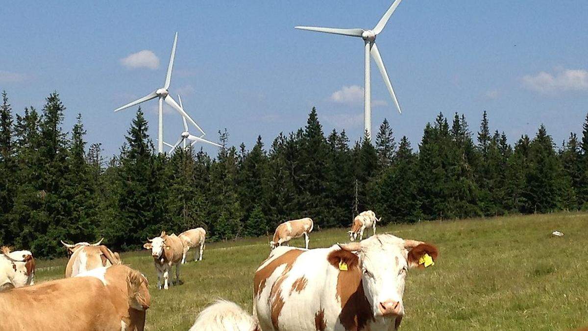 Jagdaufseher haben Windräder im Visier