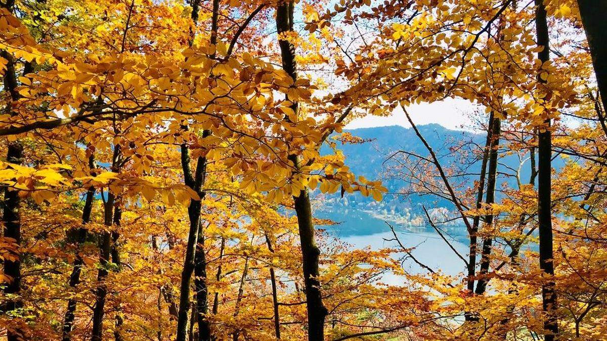 Herbstlicher Blick zum Ossiacher See