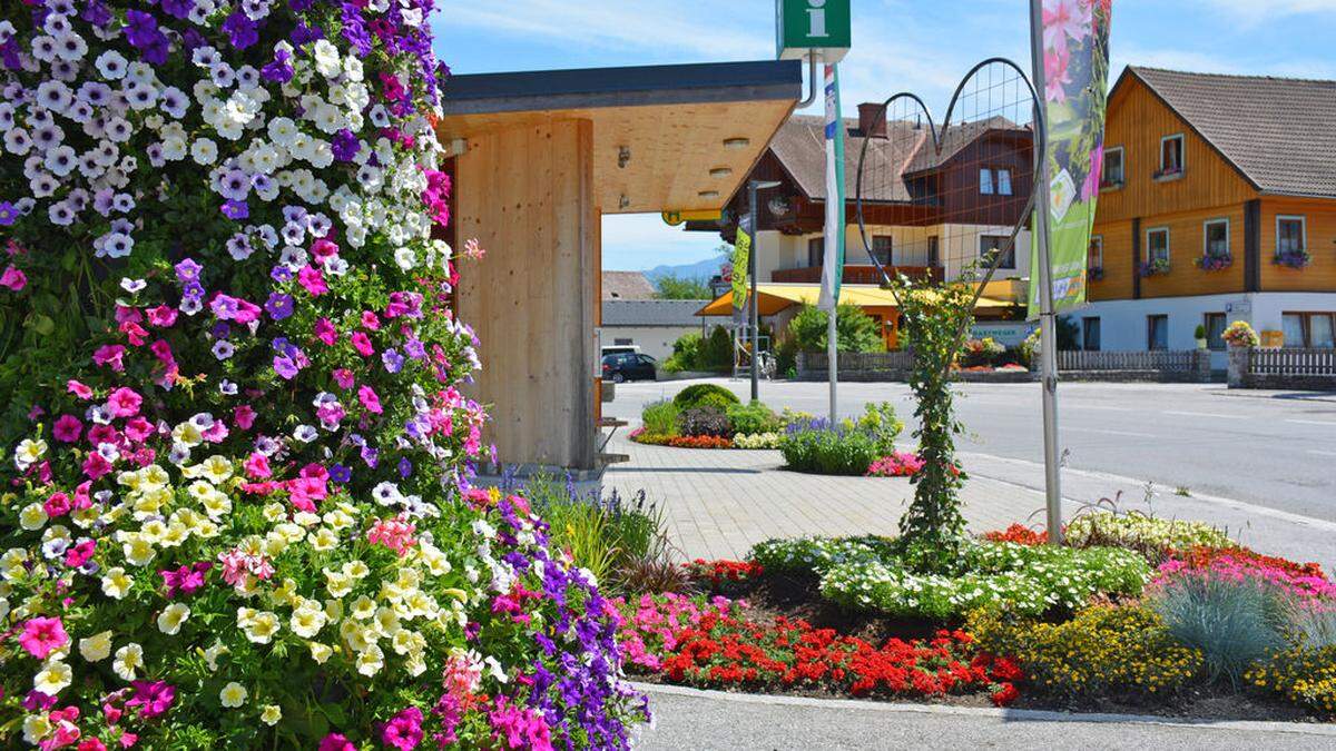 Ein Blumenmeer in Weißenbach bei Haus 