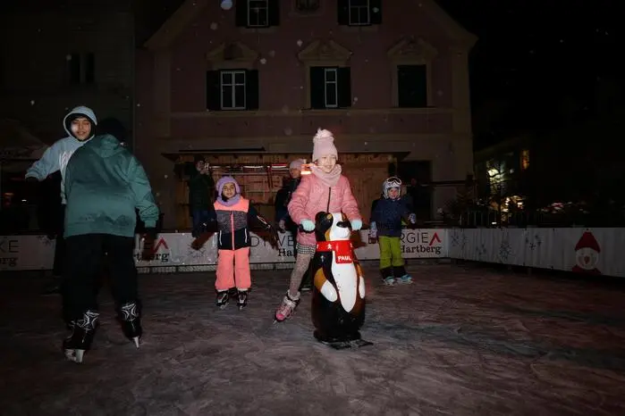 Mehr Fotos zum Durchklicken...