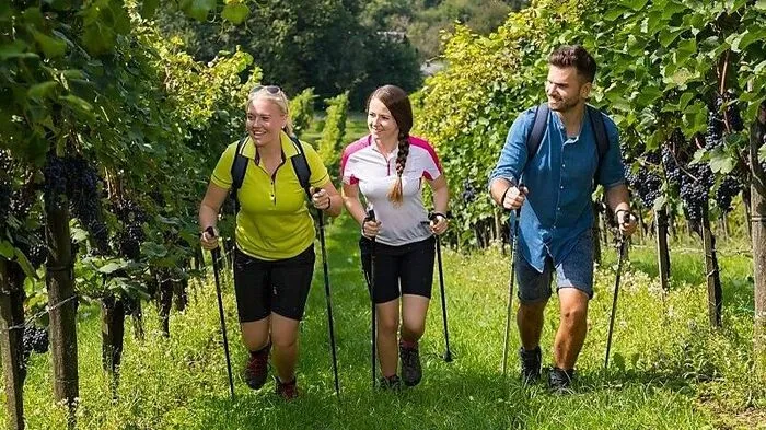 In der Südoststeiermark laden zahlreiche Touren zum Wandern und Genießen