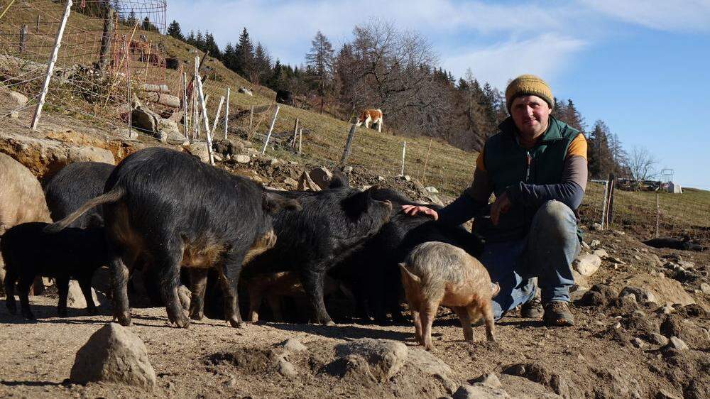Christian Bachler hat Schweine und hatte Schwein