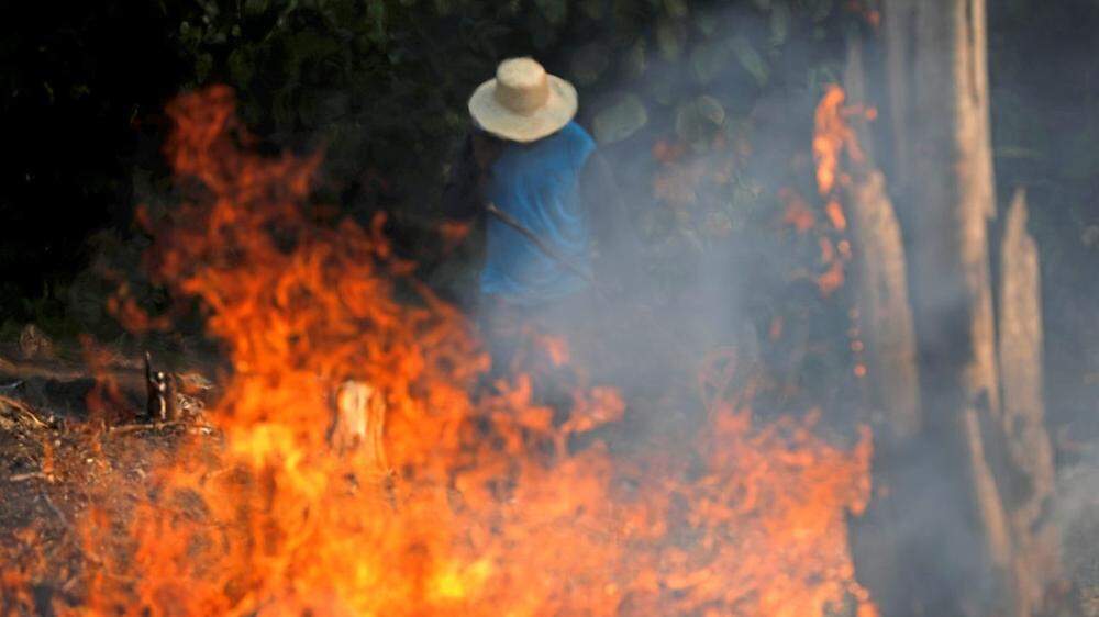 Im gesamten Amazonasgebiet wüten verheerende Brände