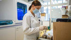 Zu Spitzentagen werden an der Med Uni bis zu 900 Corona-Tests im Labor durchgeführt