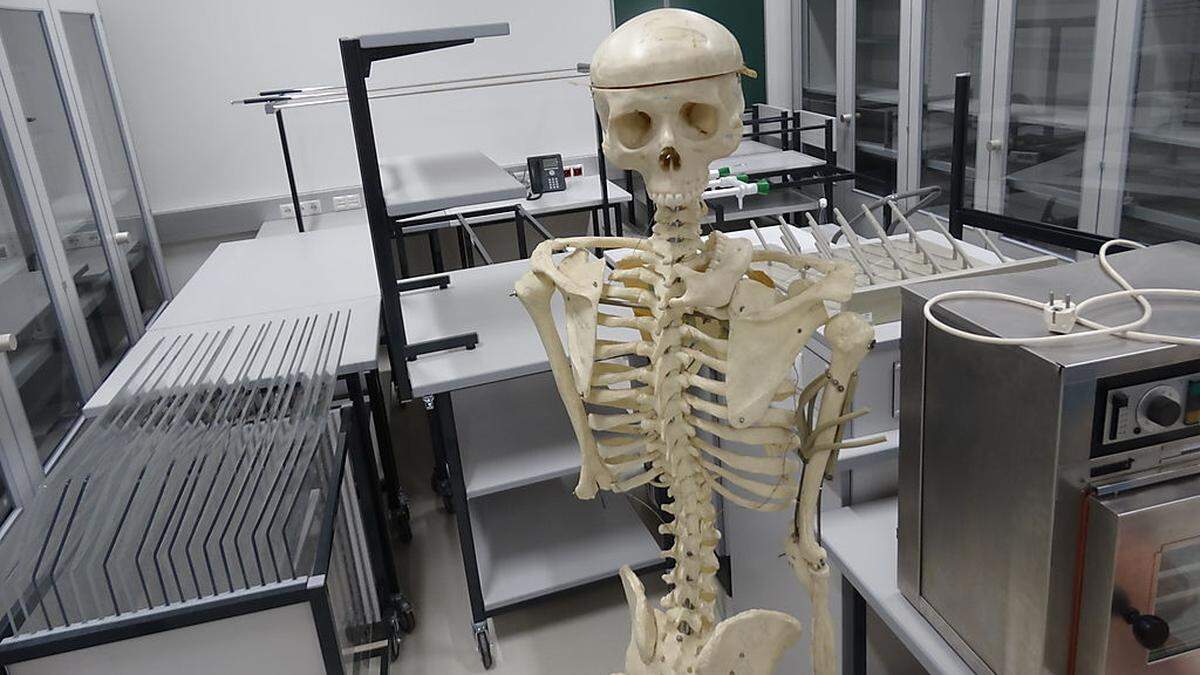Skelett Hans ist schon im Biologiekammerl eingezogen.