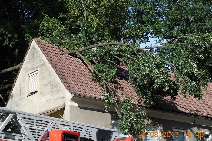 Ein Baum war von einer Böschung auf ein Wohnhaus gestürzt und hat das Dach des Hauses durchschlagen.