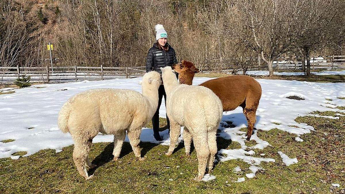 Ihr Alpaka-Trio ist daheim in Ferlach die Kraftquelle von Vanessa Herzog