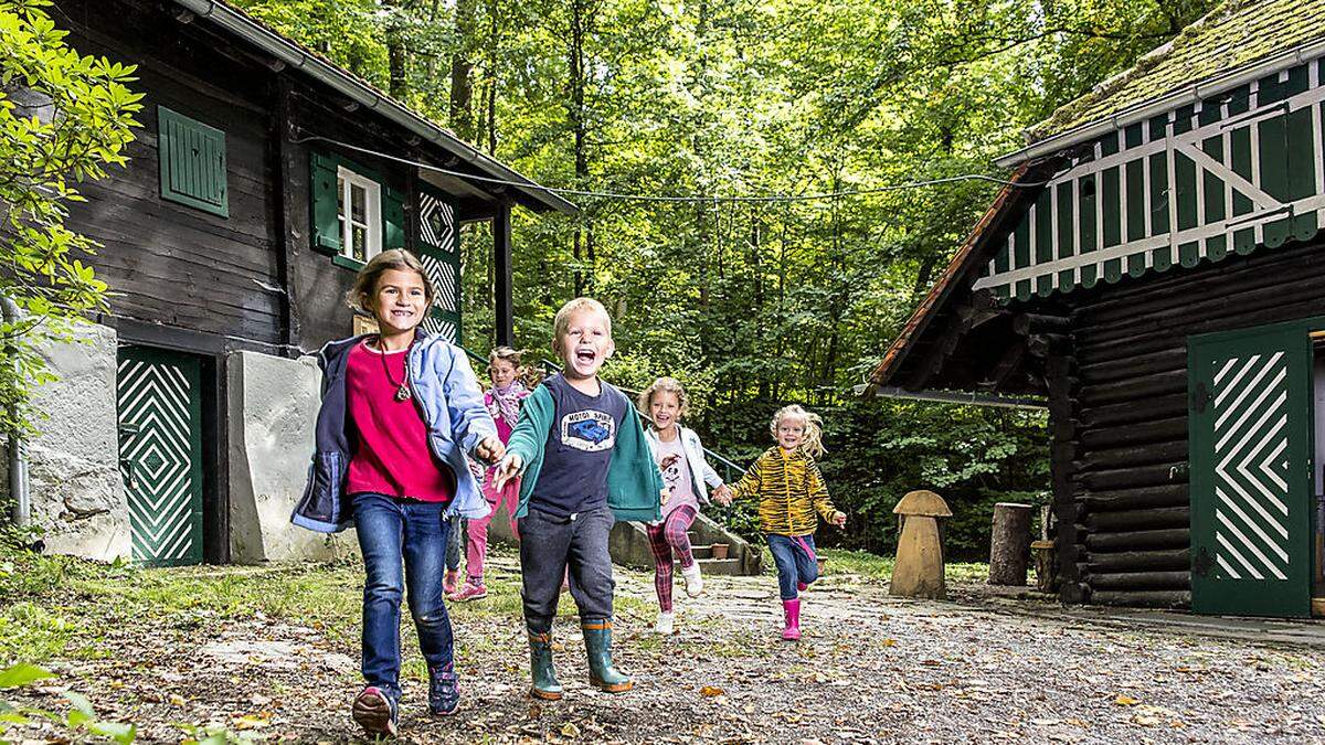 Spaß in der Waldschule