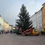 Der Christbaum wurde am 27. Oktober aufgestellt