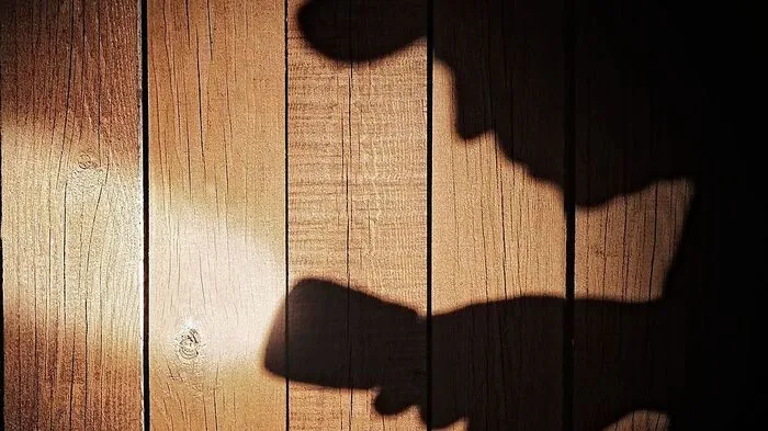 Einbruch in Mürzzuschlag