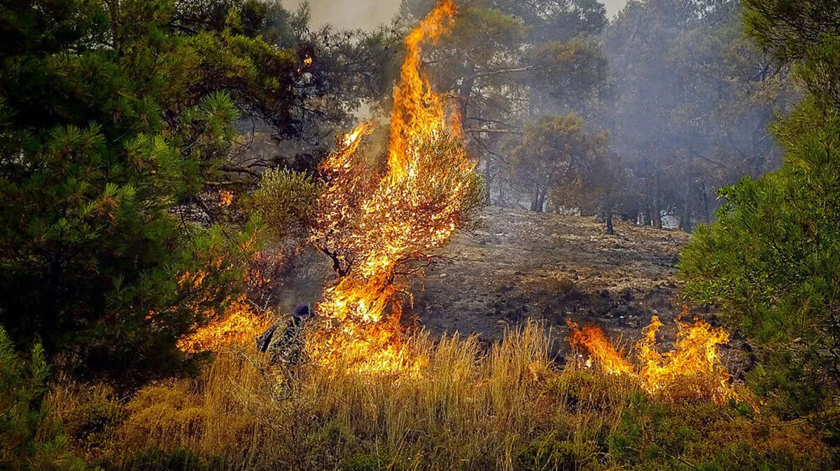 Auf Rhodos wütet ein Großbrand