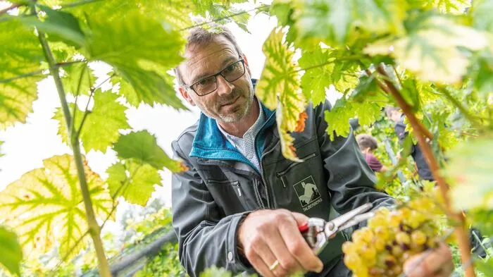 Direktor Reinhold Holler von der Weinbauschule Silberberg: "Wichtig ist zu zeigen, welche Möglichkeiten und welche Trends es gibt – und welche Schritte zu welchem Ergebnis führen."