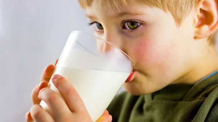 Die Laktoseintoleranz ist keine Allergie! Vielmehr ist ein Enzym (Lactase), das den Milchzucker aufspaltet, nicht ausreichend im Darm vorhanden. Dadurch können Betroffene den Milchzucker nicht oder nicht ausreichend verdauen. Auf „Hochtouren“ arbeitet dieses Enzym bei Säuglingen. Im Laufe des Lebens nimmt diese Aktivität ab. Eine gewisse Laktoseintoleranz ist somit bei den meisten Erwachsenen „normal“.
