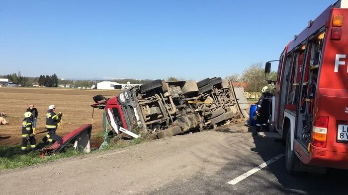 Nach einem Unfall eines Schweinetransporters liefen Donnerstagfrüh Dutzende Tiere auf der B 67 herum.