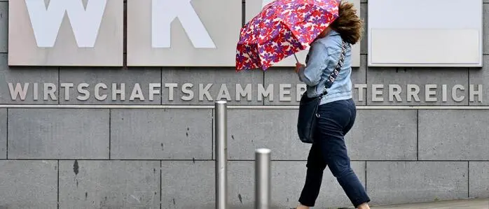 Den Wirtschaftskammern in Österreich weht ein rauer Wind entgegen