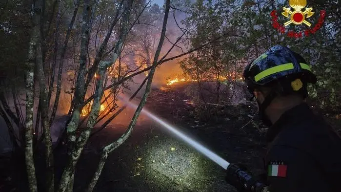 Brand im Karst bei Triest