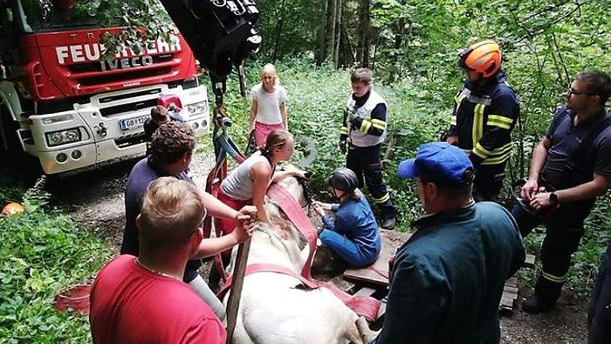 Gemeinsam konnte das Pferd gerettet werden