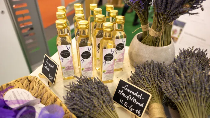 Lavendel in all seinen Formen