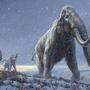 Rekonstruktion der Steppen-Mammuts - den Vorgängern des Wollmammuts