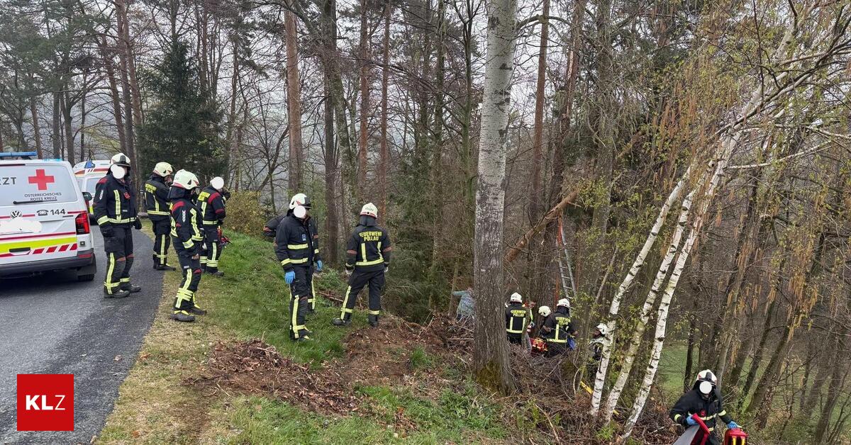 P-llau-Oststeirer-bei-Arbeiten-im-Wald-verletzt
