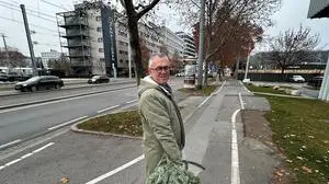 Erfolgreiche Heimtragung: Bernd Melichar mit dem traditionellen Christbaum des Kulturressorts