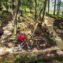 Auf nicht freigegebenen Strecken ist das Mountainbiken im Wald in Österreich derzeit verboten