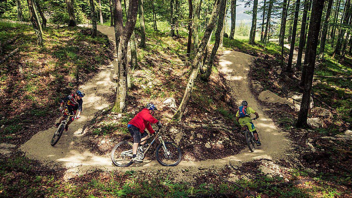 Auf nicht freigegebenen Strecken ist das Mountainbiken im Wald in Österreich derzeit verboten