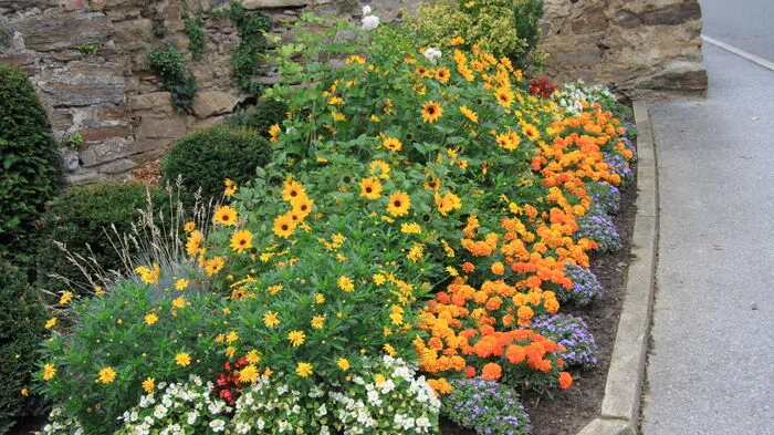 In der Kategorie "Schönste Märkte" konnte Bad Schwanberg fünf Floras abräumen