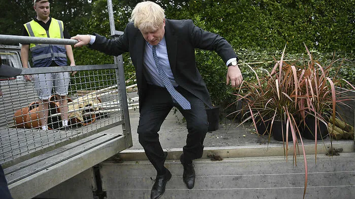 Johnson bei einem Wahlkampftermin in einer Baumschule in Essex.