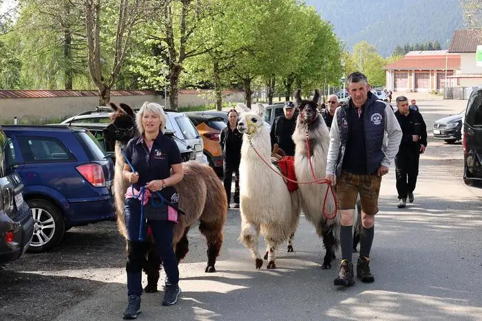 Beim Festakt meinte Landesrätin Simone Schmiedtbauer: „Die Jagd ist ein Teil unserer Kultur und eine der Hauptaufgaben ist es somit auch, das Wild zu schützen, den Wildstand zu regulieren und mit der nicht jagenden Gesellschaft in die Diskussion zu treten – insgesamt das Bild der Jagd mit positiven Geschichten zu erfüllen.“