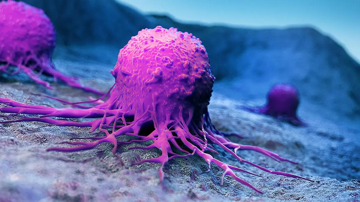 Neue Impfstoffe sollen direkt am Tumor greifen