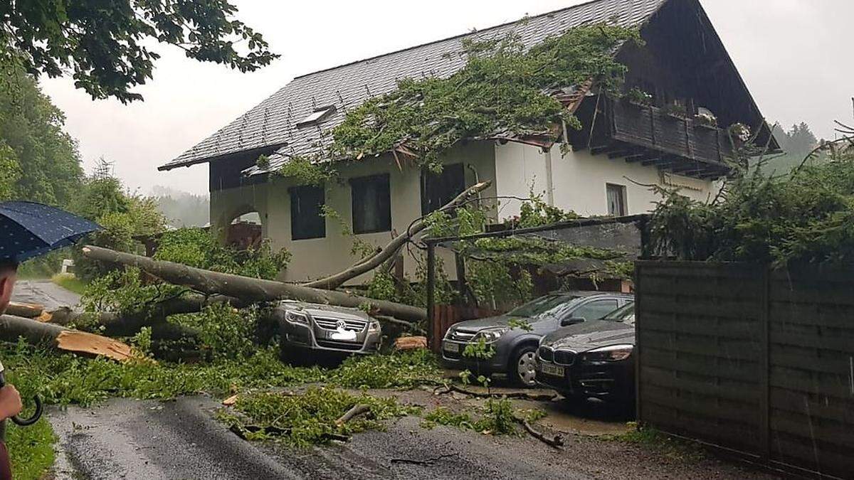 Ein umgestürzter Baum beschädigte bei Eisbach-Rein ein Auto und ein Haus