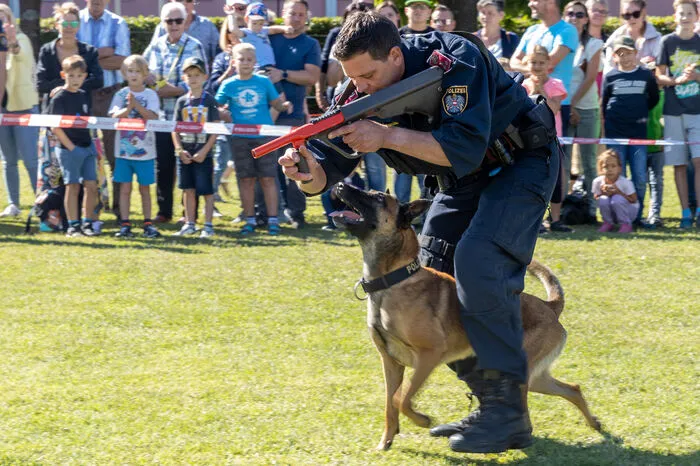 Für Staunen sorgte die Vorführung der Polizeihunde. Die schlauen Vierbeiner bewiesen mit ihren Hundeführerinnen und Hundeführern ihr Können.