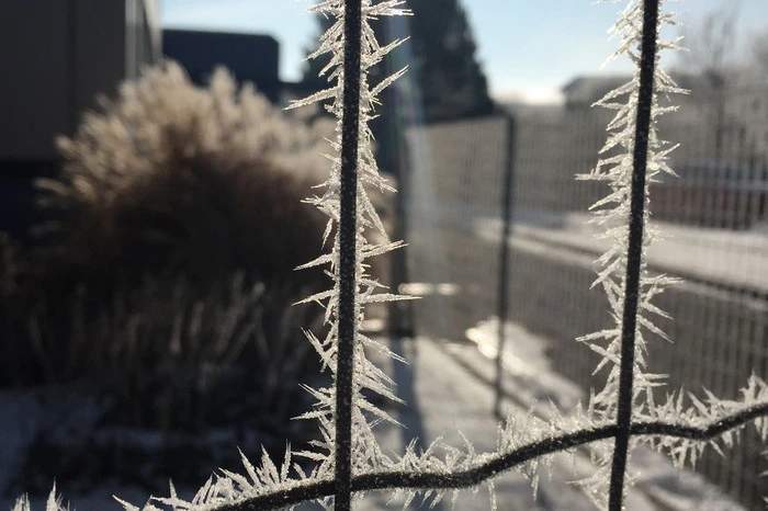 Von Anna Kleemair fotografiert nach der Schule an der HLW Fohnsdorf.