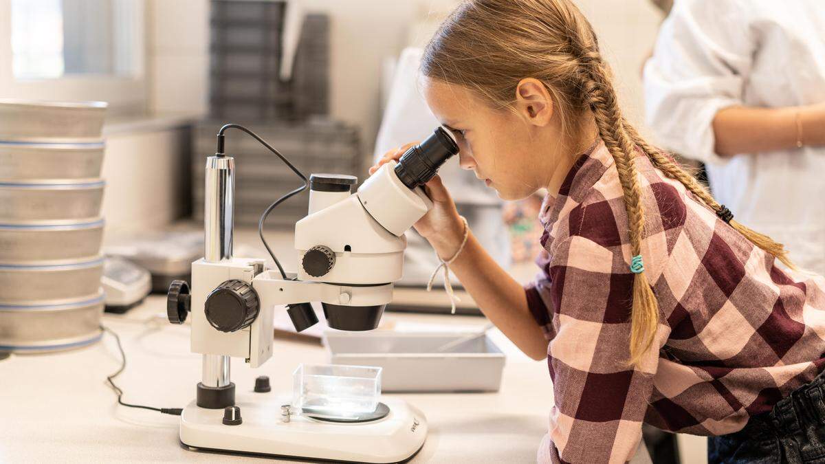 Neugierig sein erlaubt im Science Garden