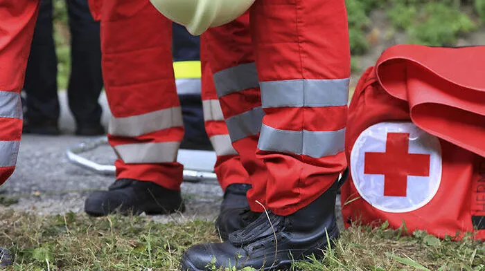Der 87-Jährige wurde schwer verletzt aus dem Waldstück geborgen