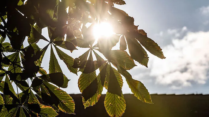 Herbstbeginn am 23. September um 9.50 Uhr