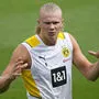 Erling Haaland