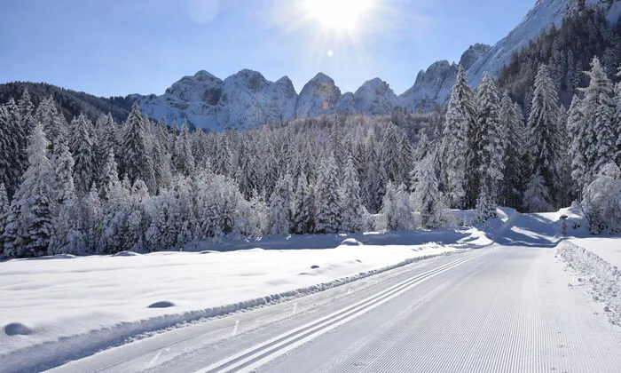 Die Loipen im Val Saisera sind ein Eldorado für Langläufer 