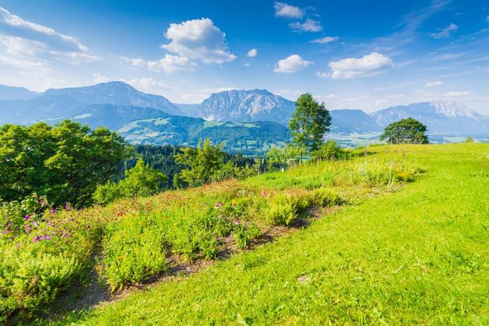 Ein Teil der Anbaufläche des Kräuterbauernhofs