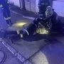 Die Feuerwehr bei der ungewöhnlichen Rettungsaktion