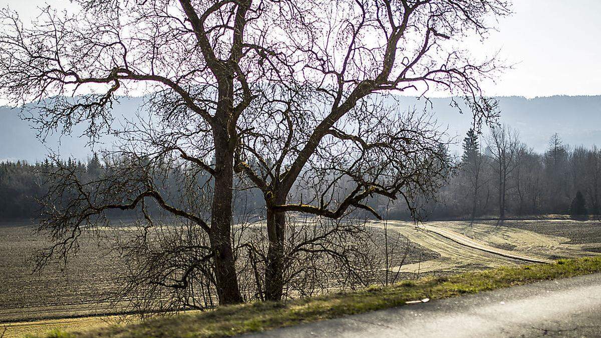 Am Freitag schein vielfach die Sonne