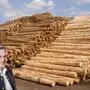 Stora Enso-Mitteleuropa-Chef Herbert Jöbstl war zuletzt Vorsitzender des Verbandes der österreichischen Sägeindustrie