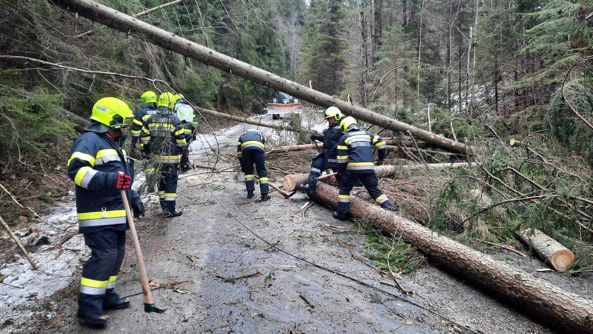 Die FF Breitenau hatte am Sonntag drei Sturmschäden aufzuarbeiten