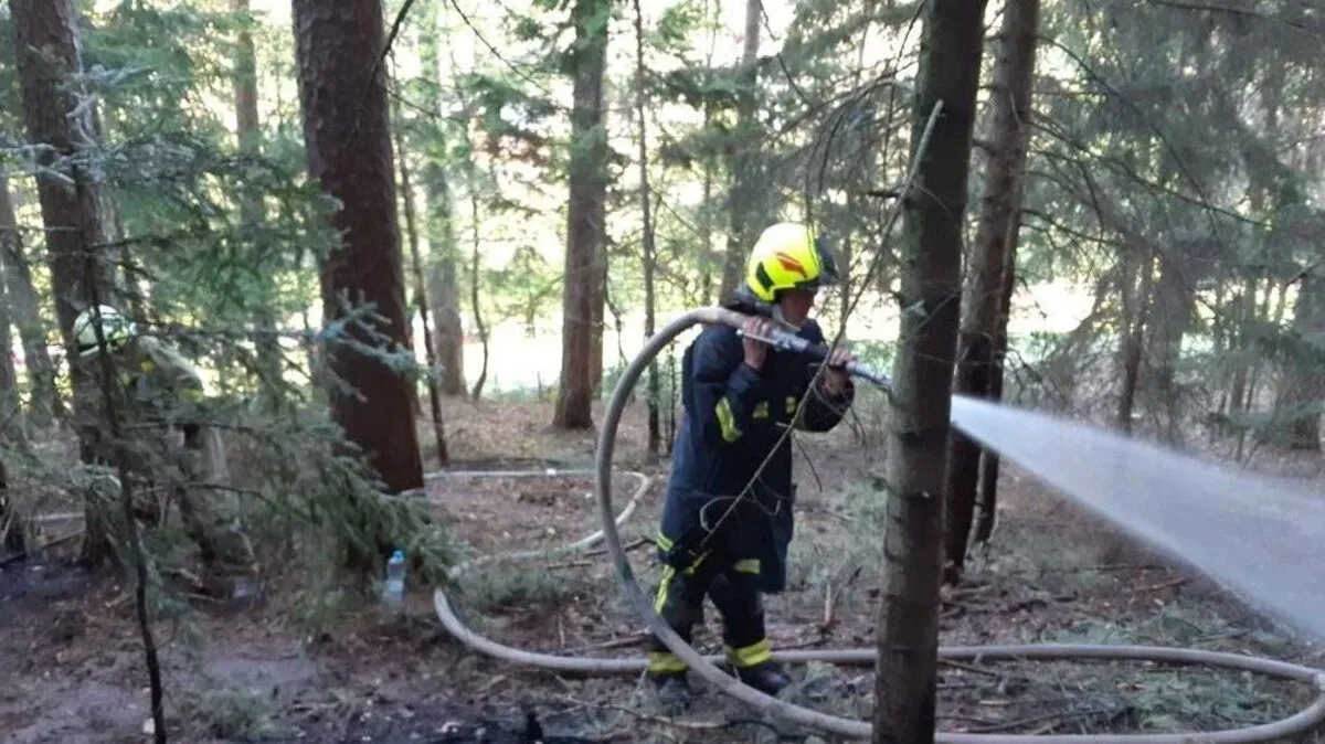 Drei Feuerwehren standen beim Waldbrand in Ternitz im Einsatz