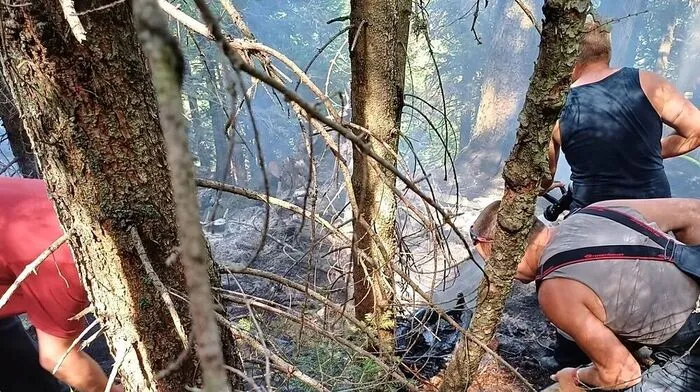 Bild vom Einsatz