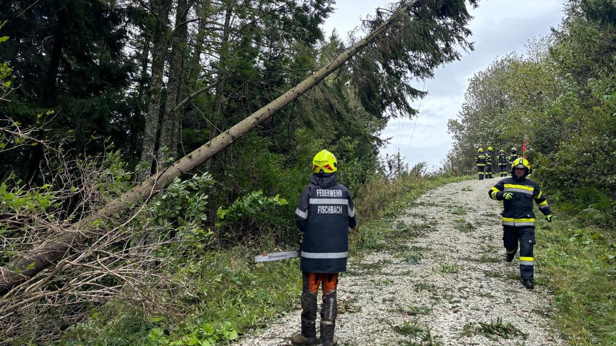 Stromversorger und Freiwillige Feuerwehren (wie hier jene aus Fischbach) kämpften gegen den Sturm. Viele Bäume waren auf Leitungen gefallen, bis zu 25.000 Haushalten waren in der Steiermark zwischendurch ohne Strom