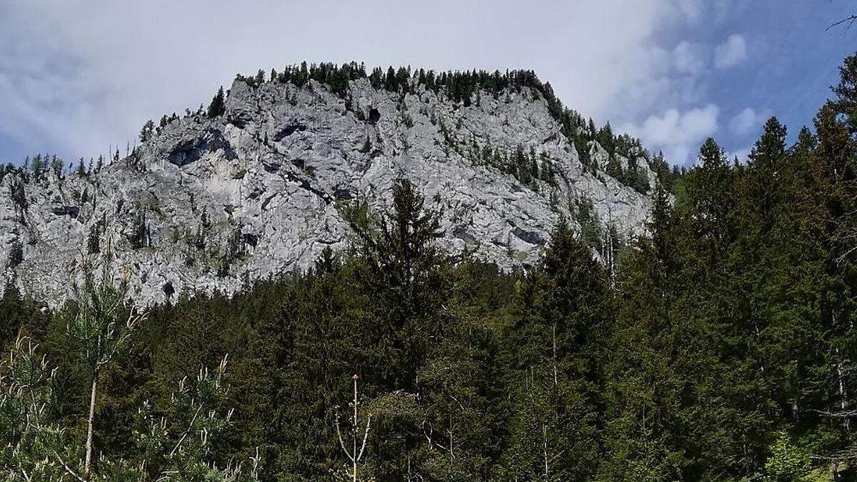 Beim Wandern in Wald am Schoberpass verunglückte ein belgischer Wanderer (Sujetbild)