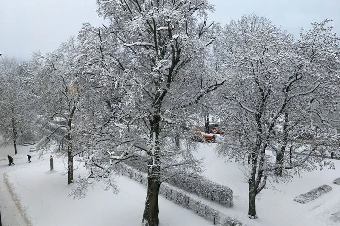Nach starken nächtlichen Schneefällen zeigen sich weite Teile Kärntens Ende Januar nun endlich tiefwinterlich.